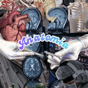 Appunti Aurora Piccini - Anatomia