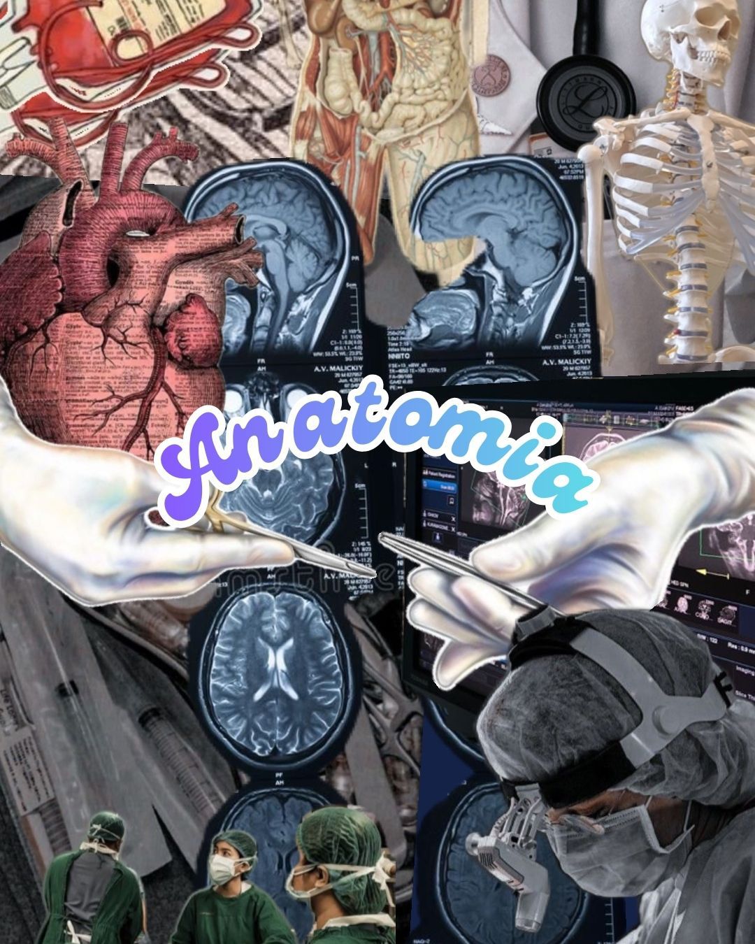 Appunti Aurora Piccini - Anatomia