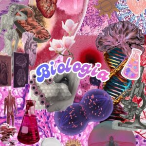 Appunti Aurora Piccini - Biologia