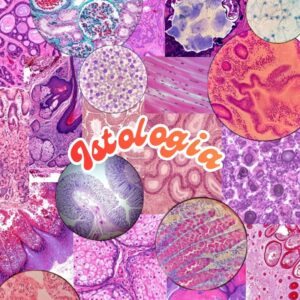 Appunti Aurora Piccini - Istologia